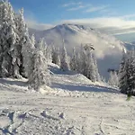 Mozart